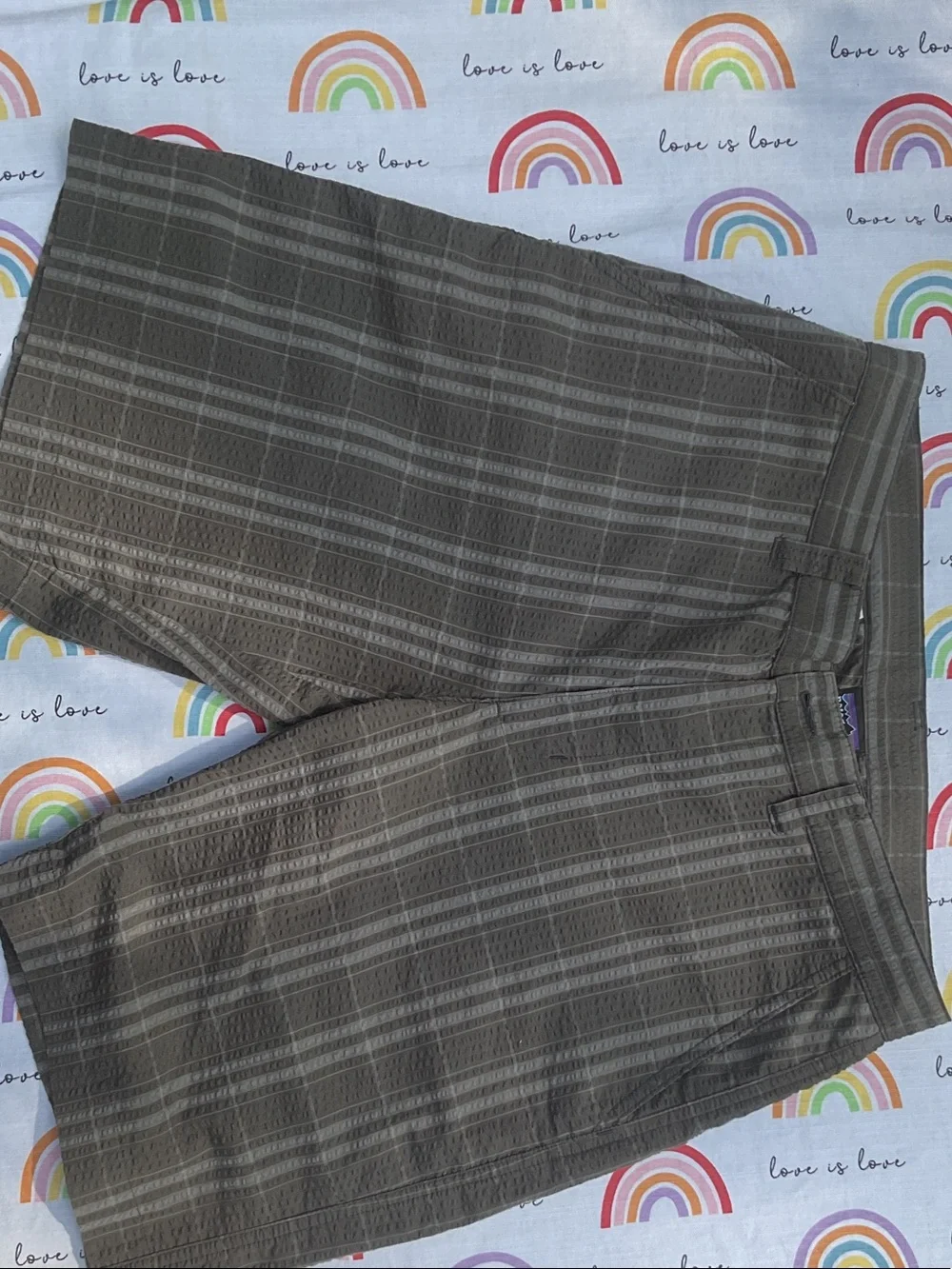 Patagonia Men's Gray Striped Flat Front Shorts